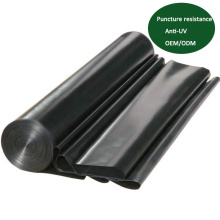 HDPE Geomembrane 1mm 2mm swimming pool liner